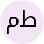 طارق منير